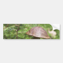 Mushroom On Moss Bumper Stickers