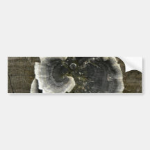 Mushroom On Tree Bumper Stickers