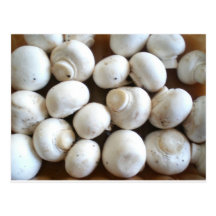 Mushroom Postcards