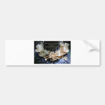 Mushroom ring bumper sticker