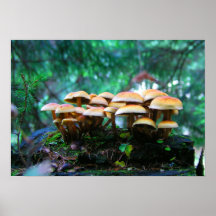 mushroom village posters