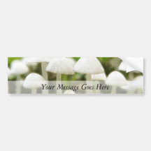 Mushroom World Bumper Sticker