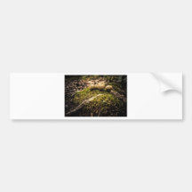 Mushrooms on a mossy mound bumper sticker