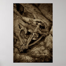 Mushrooms on Leaves Print