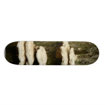 Mushrooms On Tree Skate Board Deck