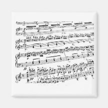 Music Major/Student/Teacher Fridge Magnet