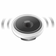 Music Speaker Cut Outs