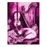 MUSICAL CAT ,Pink Violet and White Postcard