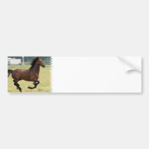 Mustang Galloping Bumper Sticker