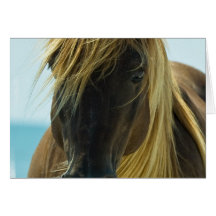 Mustang Greeting Card