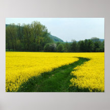 Mustard Field Posters