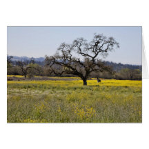 mustard seed tree card