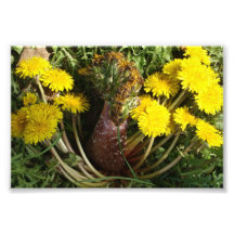 Mutant Dandelion Photo Art