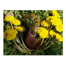 Mutant Dandelion Post Cards