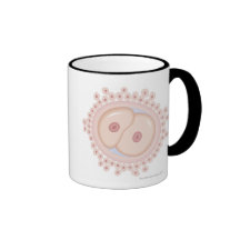 Mutation of Gene Mug