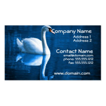 Mute Swan Business Card
