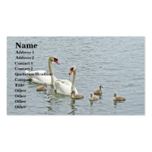 Mute Swan Famly Business Card Template