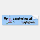 My bird adopted me bumper sticker