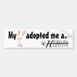My bunny adopted me at bumper sticker