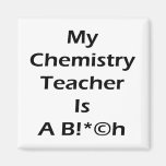 My Chemistry Teacher Is A Bitch Magnets