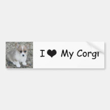 My Corgi Bumper Sticker