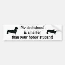 My Dachshund is smarter than your honor student Bumper Stickers