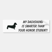 My Dachshund is smarter than your honor student Bumper Stickers