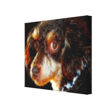 My Dog Harley On Canvas Stretched Canvas Print