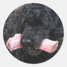 My Dog Romeo Round Sticker