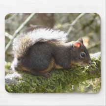 My Friend Fuzzy Mousepads