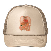 My Guts, Digestive Organs Hat