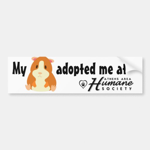 My hamster adopted me bumper sticker