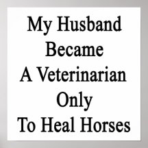 My Husband Became A Veterinarian Only To Heal Hors Poster