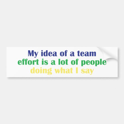My Idea of a Team Effort... Bumper Sticker