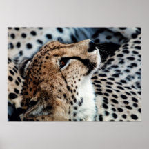 "My Keeper" Print