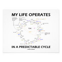 My Life Operates In A Predictable Cycle (Krebs) Personalized Invitation