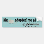 My rat adopted me at bumper stickers