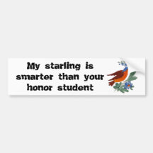 My starling is smarter than your honour student bumper stickers