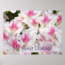My Sweet Darling! art print Pink Azalea Flowers