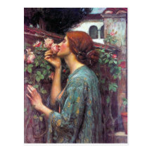 My_Sweet_Rose Postcard
