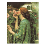 My Sweet Rose (Soul of the Rose) by Waterhouse Postcard