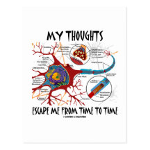 My Thoughts Escape Me From Time To Time Postcards