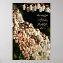 My will shall shape the future. posters
