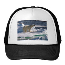My World is melting! Mesh Hat