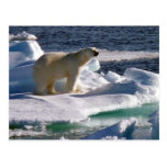 My World is melting! Post Cards