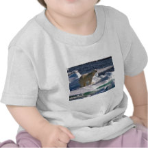 My World is melting! T Shirts