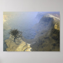 My World Poster