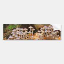 Mycena Inclinata Clustered Bonnet Mushroom Fungi Bumper Stickers