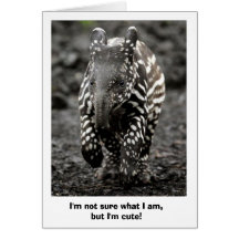 Mystery Critter Cards
