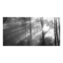 Mystic steam personalized photo card